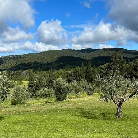 Il Ghiaccio Suvereto