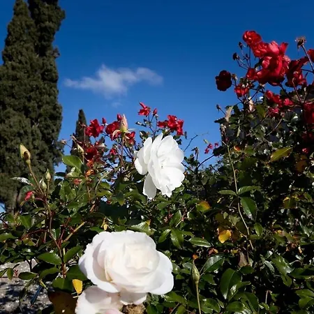 Il Ghiaccio Farm stay Suvereto